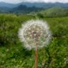 TWENTYEIGHT's profile picture