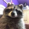 R's profile picture
