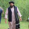ځدراڼ's profile picture