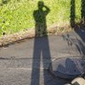 マキノ マサヒデ's profile picture
