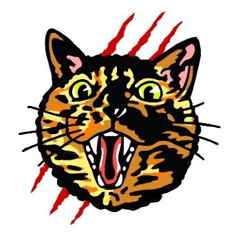 tokopoko2's profile picture