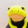 kaeru🐸 的头像