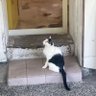 嗨 profil fotoğrafı