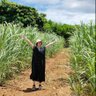 かな's profile picture