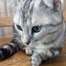 みー太郎 profil fotoğrafı