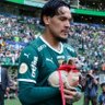 Palmeiras360 ™️ 的头像