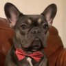 Jack's profile picture