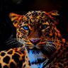إشعار profil fotoğrafı
