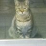 Profilbild von タッチです