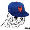 Profilbild von deGrom’s abandoned fan