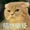 兰心羽 profil fotoğrafı