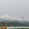 chengang 的头像