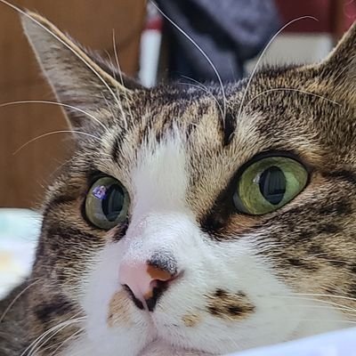 F6Ufv77uje8C9IR's profile picture