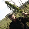 Tomas Volny's profile picture