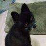 エア's profile picture