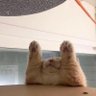 Formysweetie. 的头像