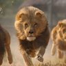 ابوبشرى profil fotoğrafı