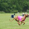 Frisbee Driver 的头像