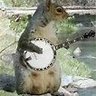 Look A Squirrel 的头像