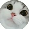 Фото профиля 猫神様