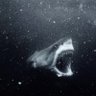 Profilbild von SHarKzin