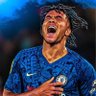 Blue boxing's profile picture