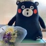 🌸さとまき🌻🪶🐿️🐉's profile picture
