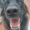 Patrigb's profile picture