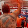 Stefano Silva's profile picture