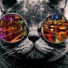 Фото профиля Sa_Pong_Pi_Pong