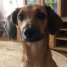 Полігонний диван profil fotoğrafı