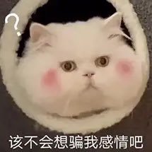 JoJonoviciaten's profile picture