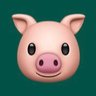C.E.Morais's profile picture