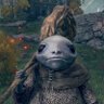 Profilbild von the_folder