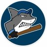 Indy Sharks 2026 profil fotoğrafı