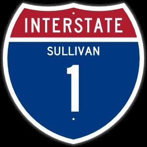 David Sullivan (prosecute, fauci)'s profile picture