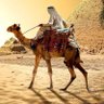 حسن عبدالله النعيم 的头像