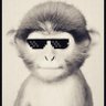 Profilbild von whotfcj
