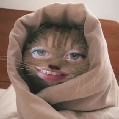 sacmalamasecil's profile picture