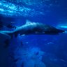 Фото профиля KennethHatfield