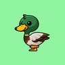 Duck902TTV's profile picture