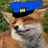 Фото профиля DAF Fox
