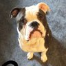 Eddie profil fotoğrafı