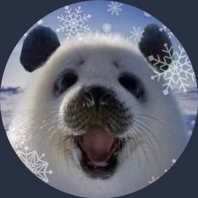 Ms_aichaman's profile picture