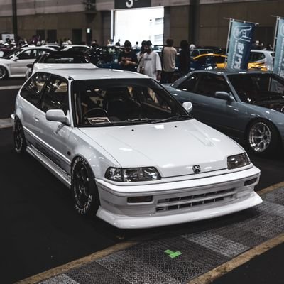 T.TSUKAMOTO's profile picture