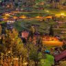 عمر profil fotoğrafı