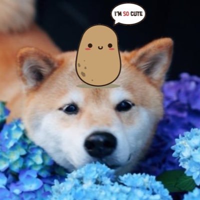 🧜♀️하이키🧜♀️'s profile picture