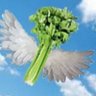 Фото профиля Flying Celery