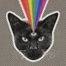 zwartekat's profile picture