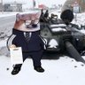 4th Motorized Shit-Posting Battalion (Airborne) profil fotoğrafı